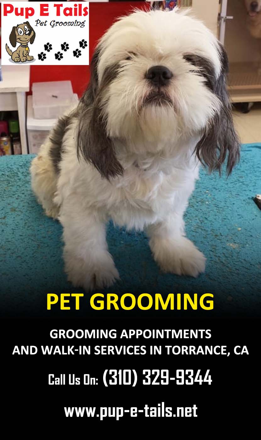 Pup e tails Clearance